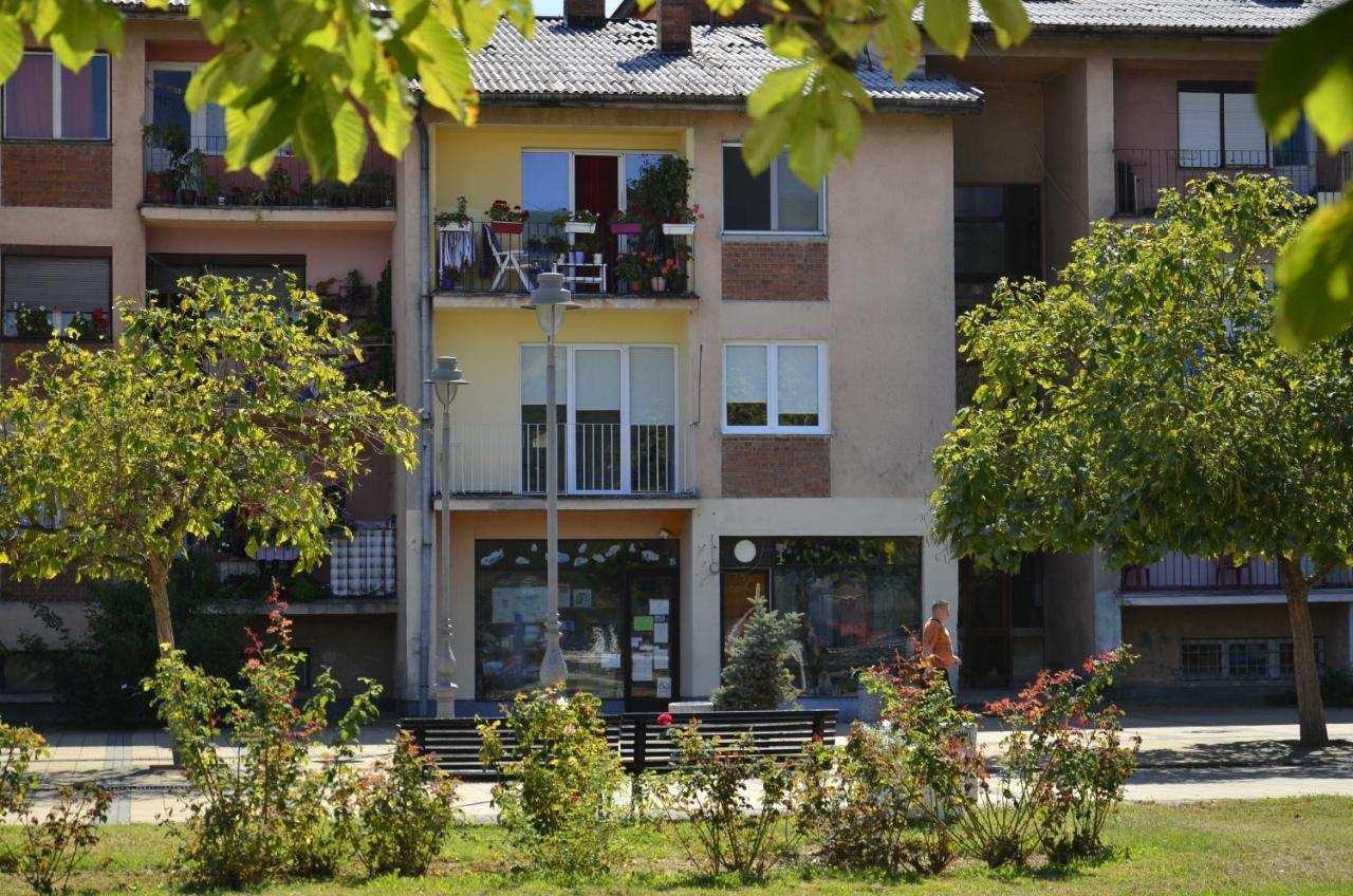 Apartman Terassa Donji Milanovac Exteriör bild