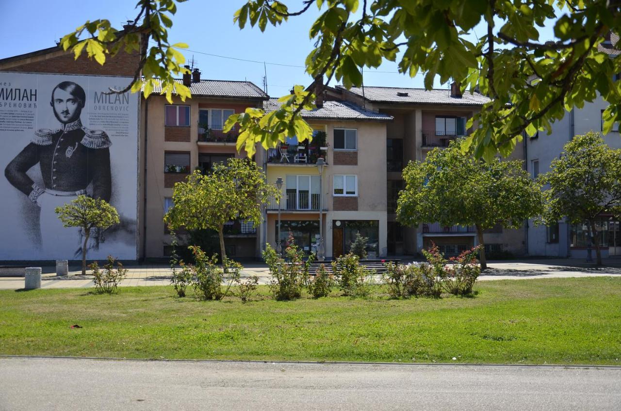 Apartman Terassa Donji Milanovac Exteriör bild