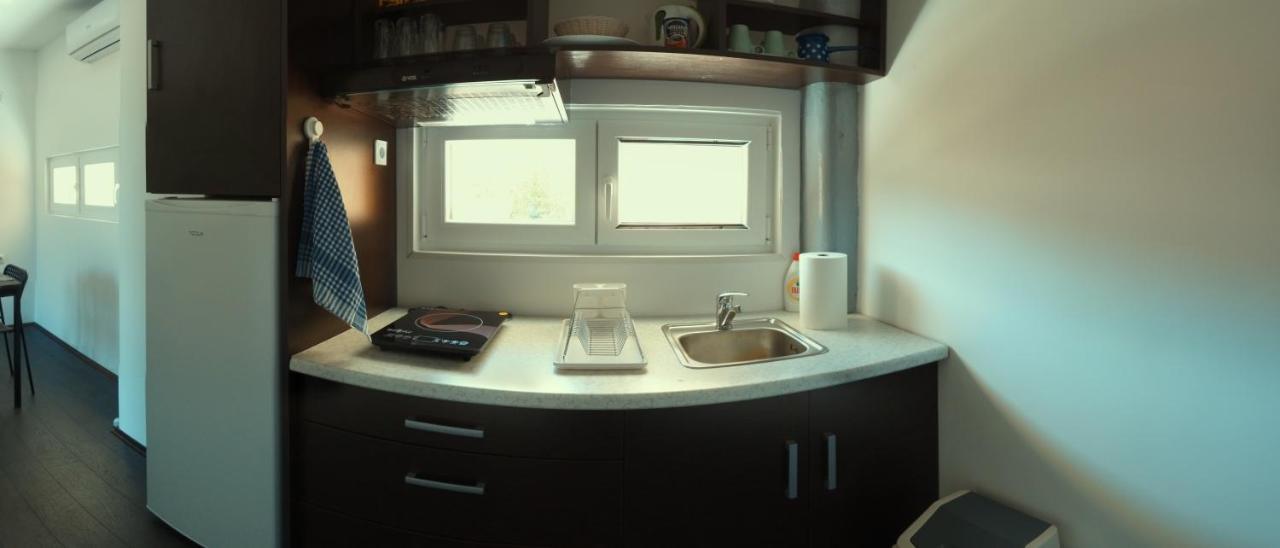 Apartman Terassa Donji Milanovac Exteriör bild
