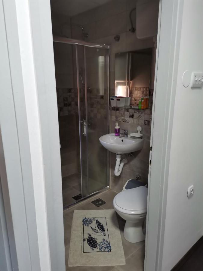 Apartman Terassa Donji Milanovac Exteriör bild
