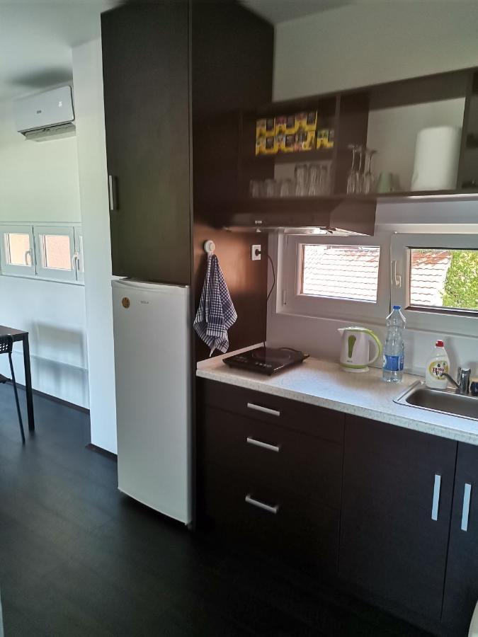 Apartman Terassa Donji Milanovac Exteriör bild