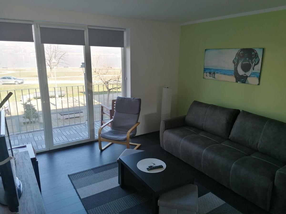 Apartman Terassa Donji Milanovac Exteriör bild